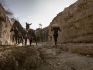 Alcuni cavalli scendono lungo la rampa di un pozzo mentre un ragazzo Borana carica sacchi di sabbia per tenere pulito l\'accesso.